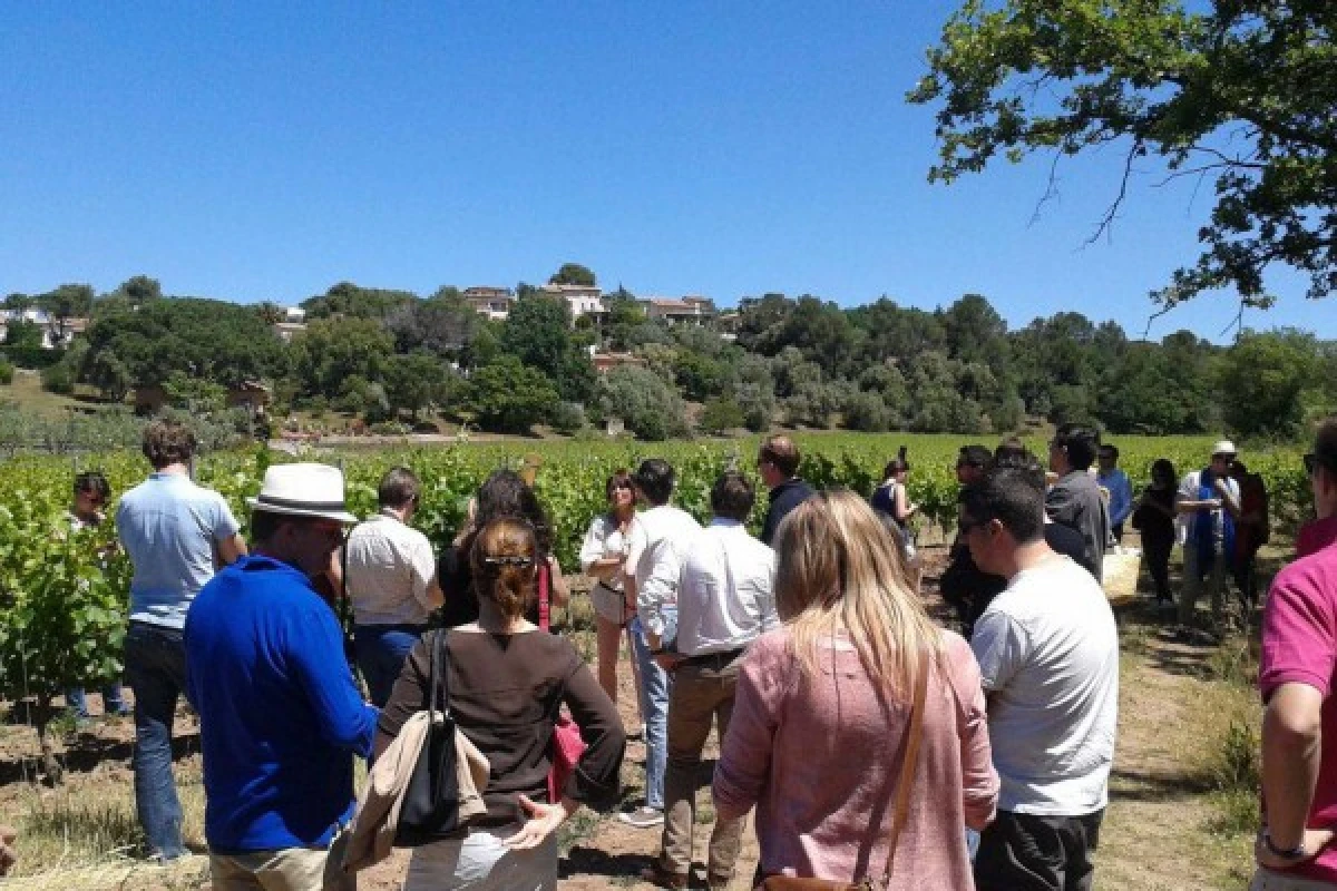 Le Clos des Roses - Visite libre du domaine et des caves - Expérience Côte d'Azur