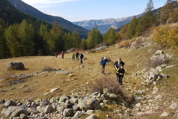 Le Brame du Cerf à Colmars les Alpes - Expérience Côte d'Azur