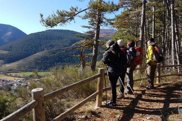 Le Brame du Cerf à Colmars les Alpes - Expérience Côte d'Azur