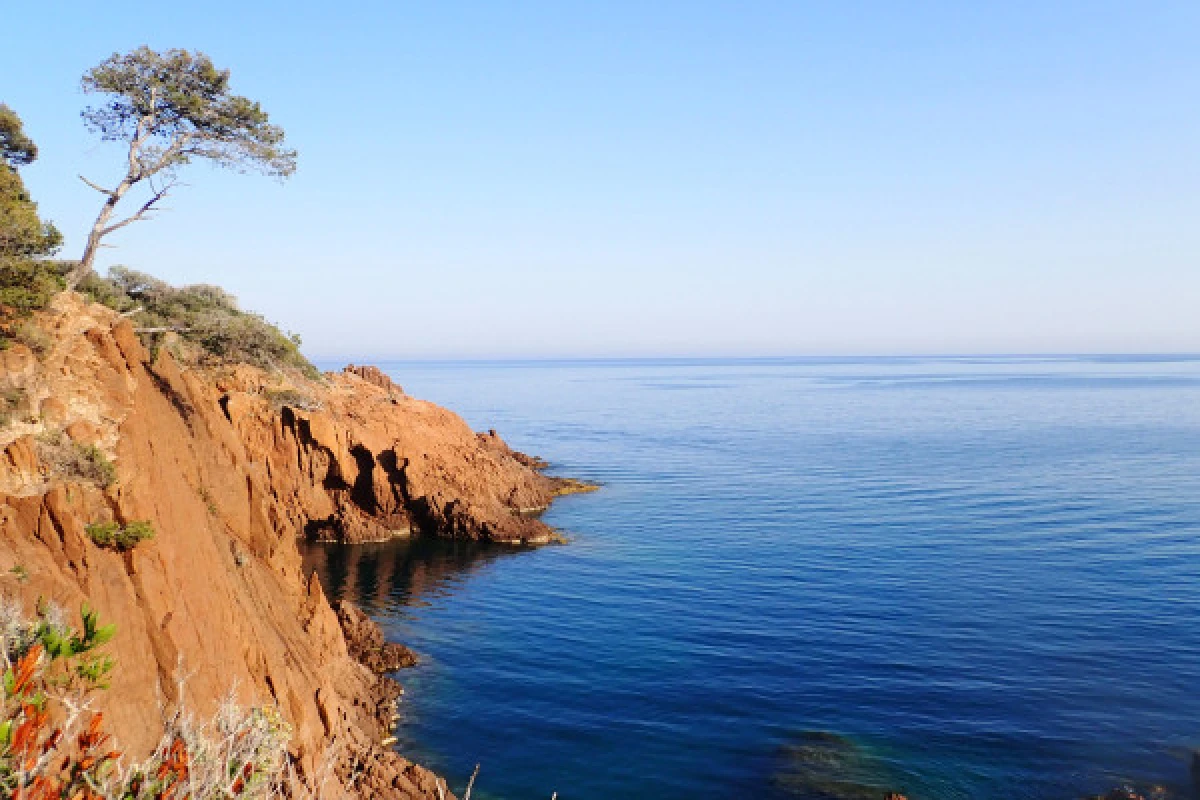 Les trésors aquatiques de l'Estérel - Expérience Côte d'Azur