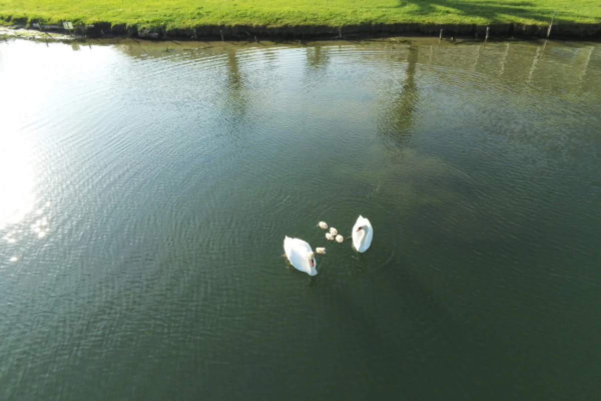 Location bateau sans permis sur la rivière de la Siagne - Expérience Côte d'Azur