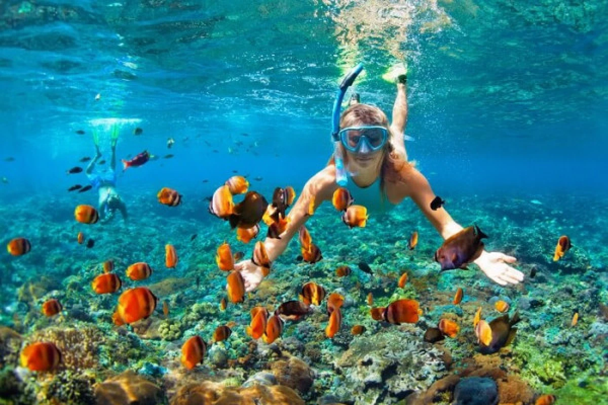 Location de matériel de snorkeling - plage de la Madrague - PROMO - Expérience Côte d'Azur