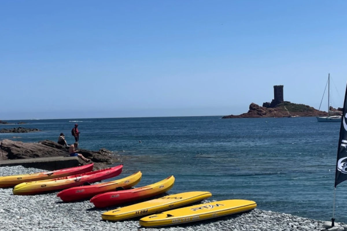 Location Paddle - En face de l'Ile d'or - Expérience Côte d'Azur