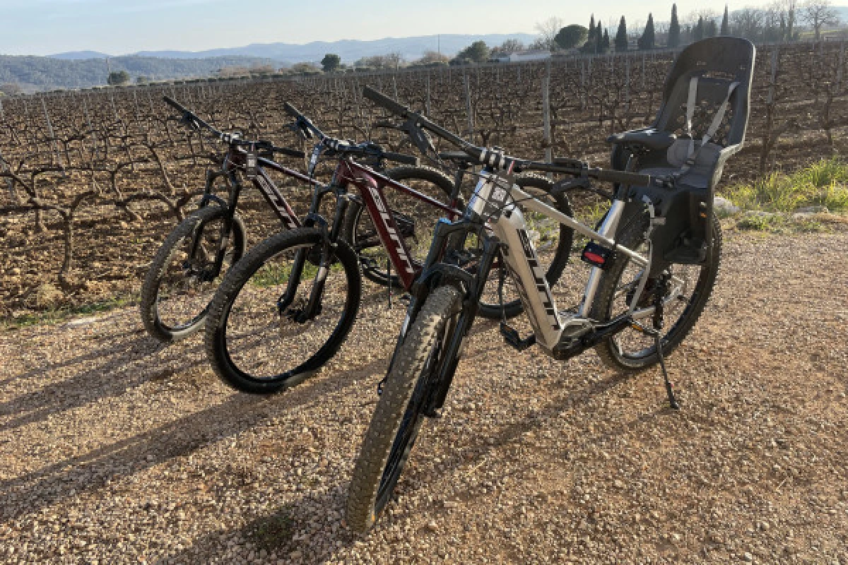 Location Vélo (VTTAE) demi-journée ou journée - Expérience Côte d'Azur