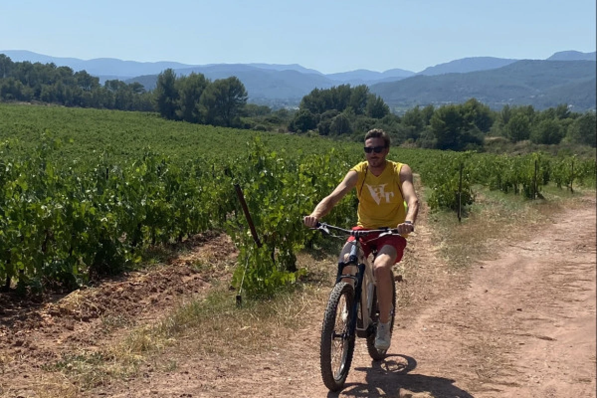 Location Vélo (VTTAE) demi-journée ou journée - Expérience Côte d'Azur