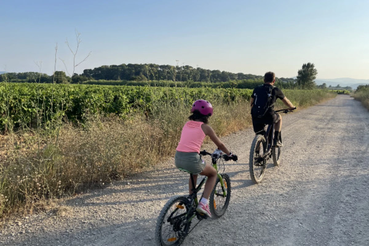 Location Vélo (VTTAE) demi-journée ou journée - Expérience Côte d'Azur