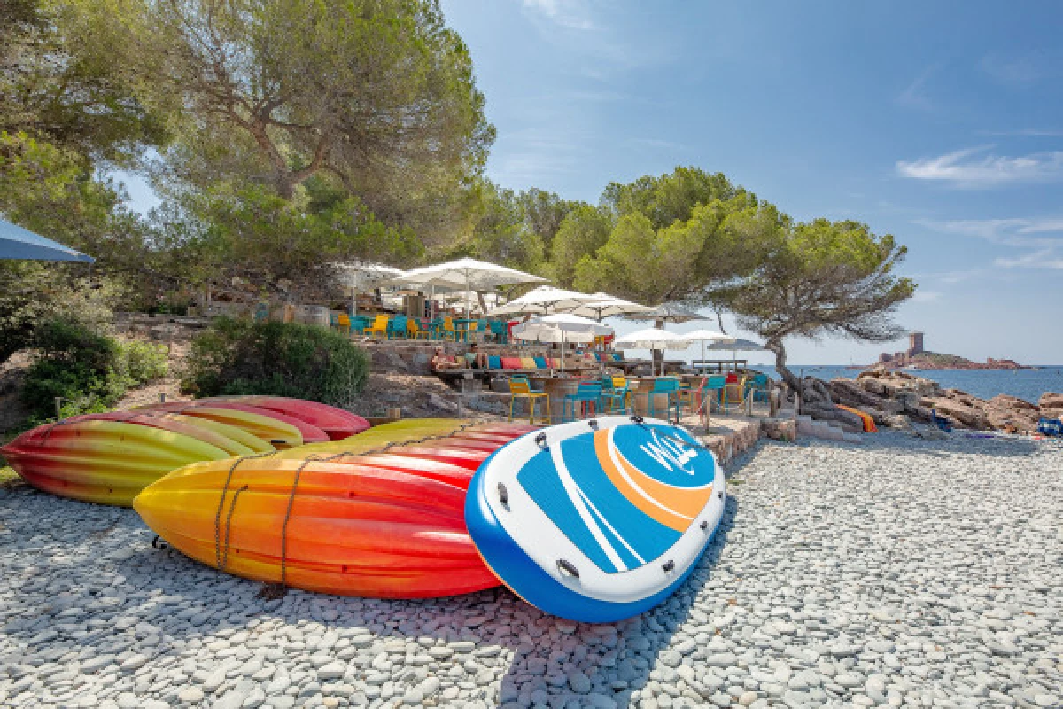 Paddle Géant - En face de l'Ile d'or - Expérience Côte d'Azur