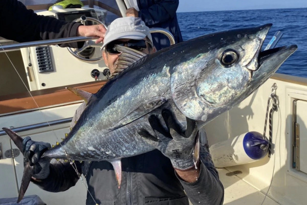 Pêche au gros au large - Fréjus - Expérience Côte d'Azur