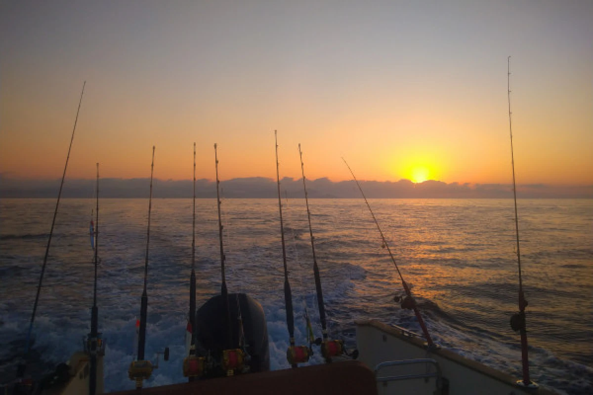 Pêche de nuit calamars et poissons nocturnes - Fréjus - PROMO - Expérience Côte d'Azur