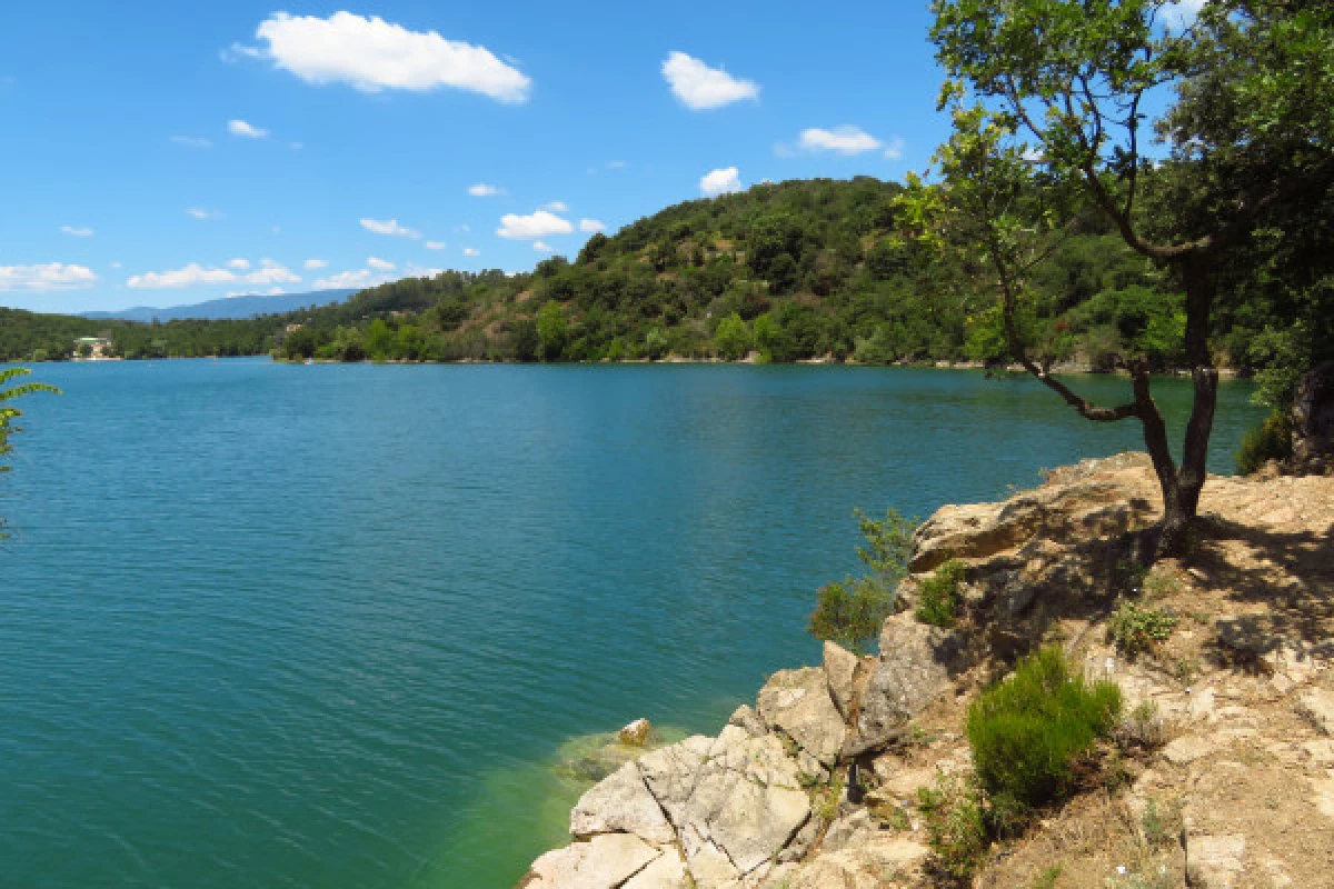 Location pédalo - Lac de Saint-Cassien - Expérience Côte d'Azur