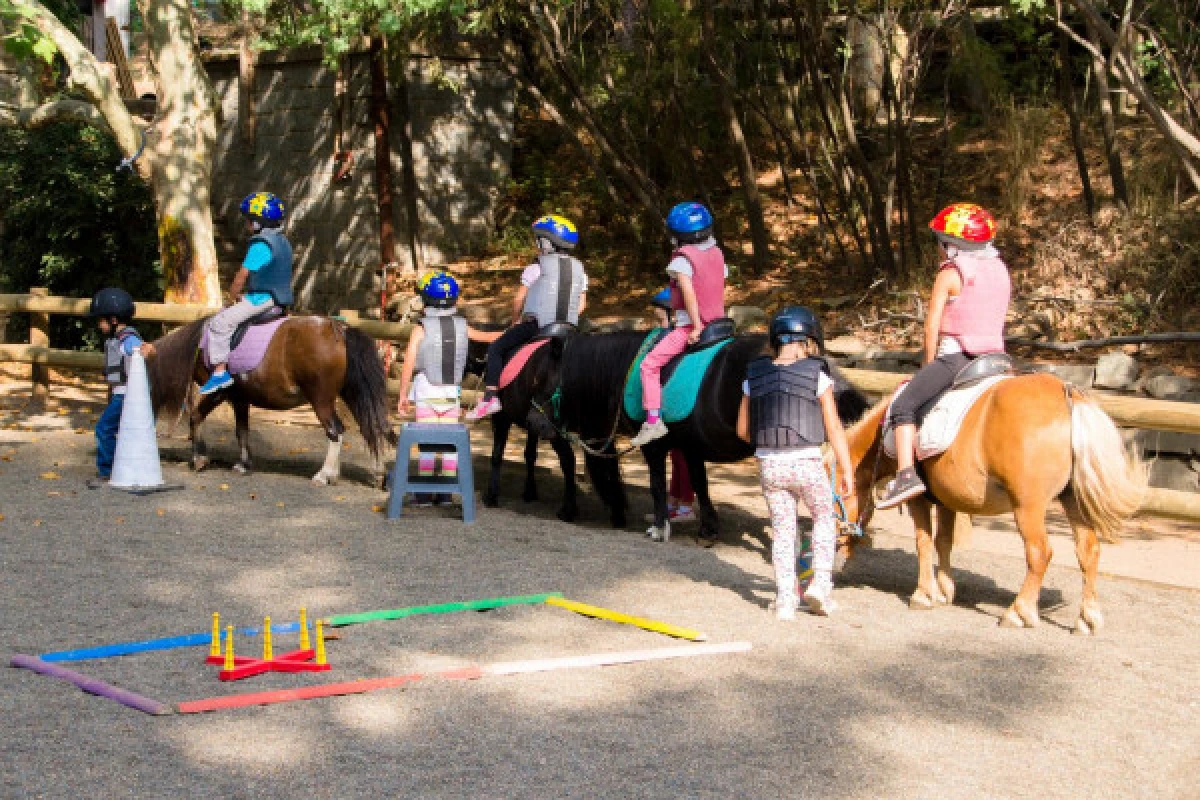 Petits nuages : Equitation pour enfants de 4 à 8 ans: - Expérience Côte d'Azur