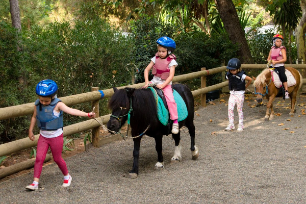 Petits nuages : Equitation pour enfants de 4 à 8 ans: - Expérience Côte d'Azur