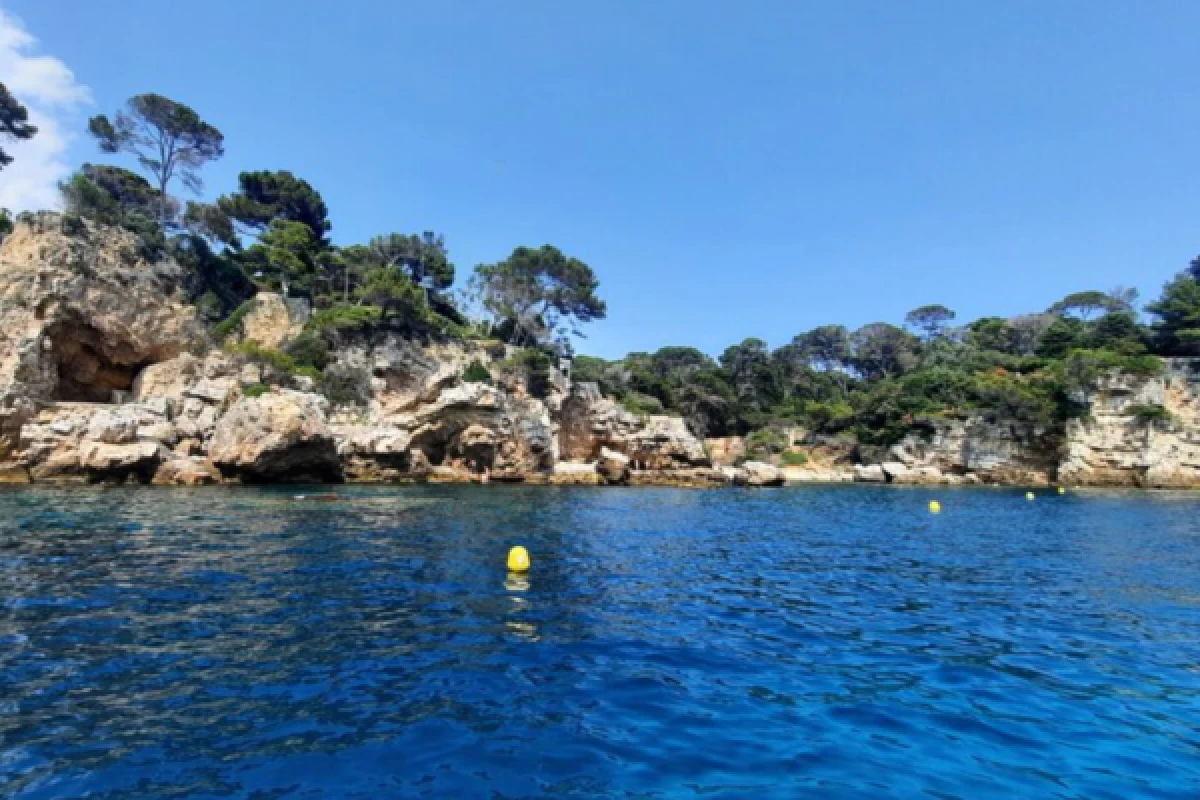 Tour privé en voilier-Baignade et paddle-Cap d'Antibes - Expérience Côte d'Azur