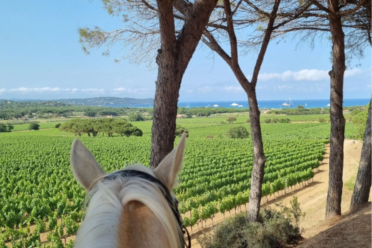 Balade Privée 2 à 6 personnes - Expérience Côte d'Azur