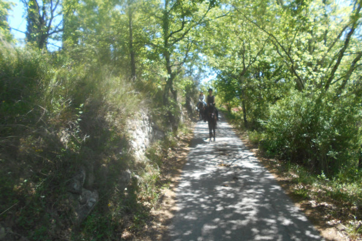 Promenade initiation à poney/cheval avec vue sur le lac - Expérience Côte d'Azur