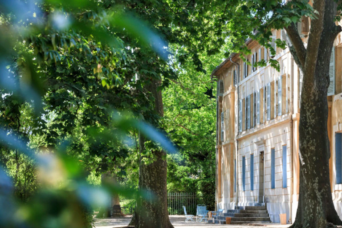 Provence Wine Tour - Circuit privatisé - PROMO - Expérience Côte d'Azur