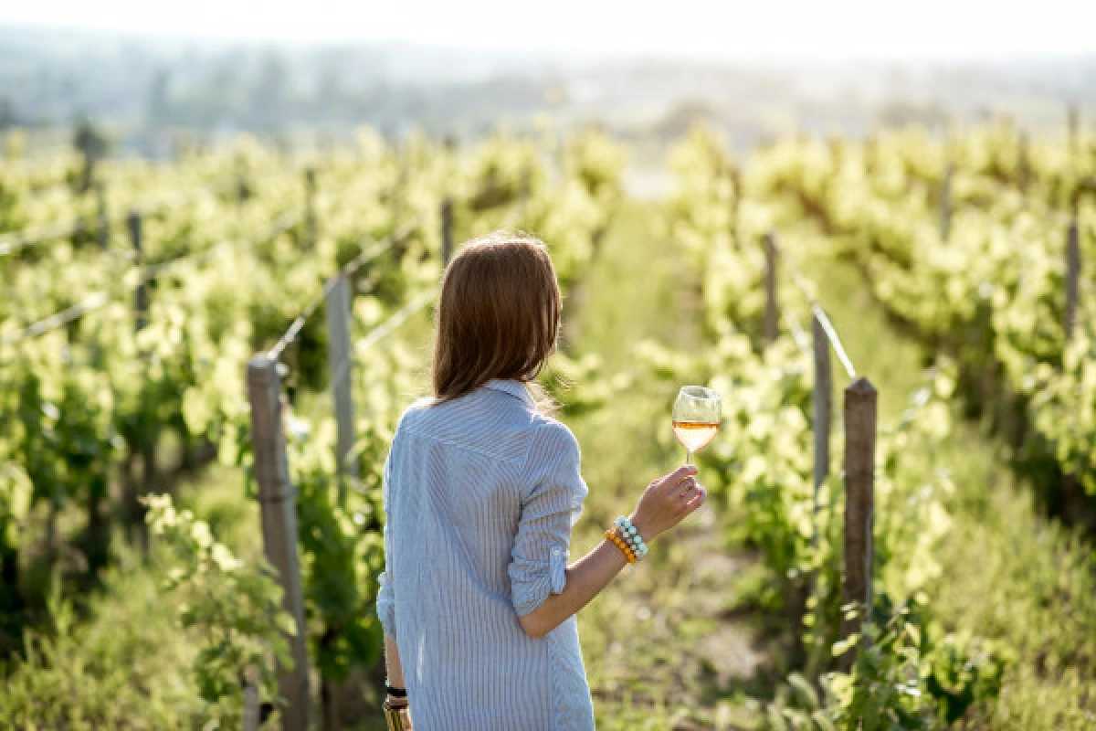 Provence Wine Tour - Circuit privatisé - PROMO - Expérience Côte d'Azur