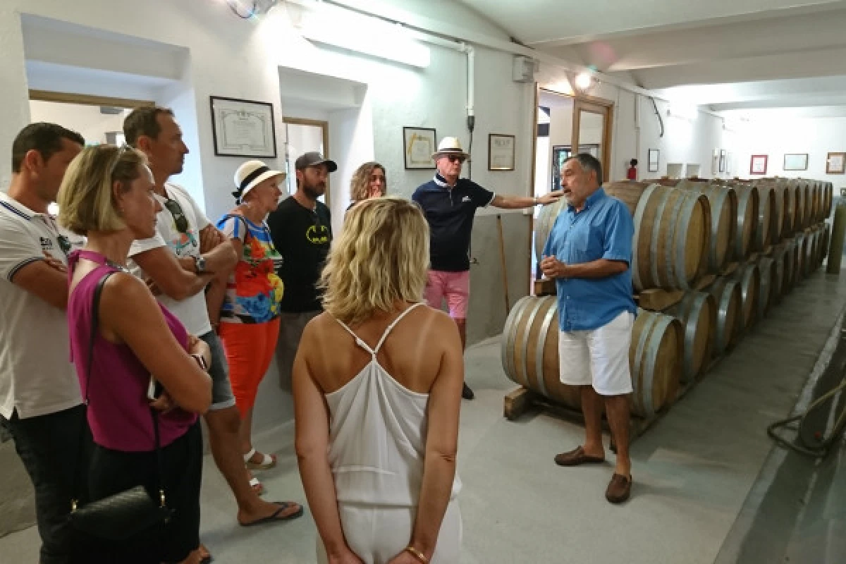 Provence Wine Tour - départ de Cannes - Expérience Côte d'Azur