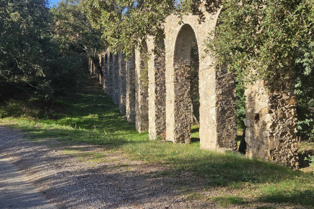 Randonnée en Moto électrique à Roquebrune/Argens - PROMO - Expérience Côte d'Azur