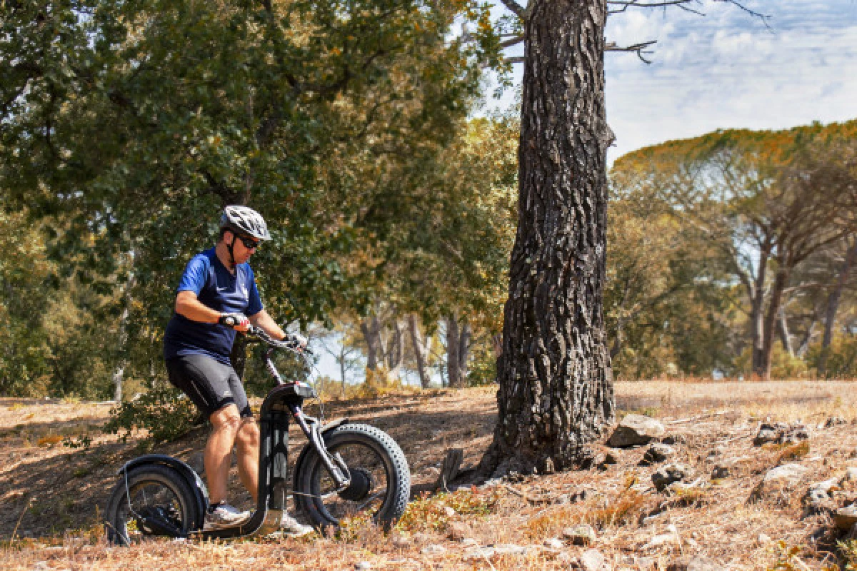 Randonnée en Trottinette électrique - Massif & Fôret - Expérience Côte d'Azur