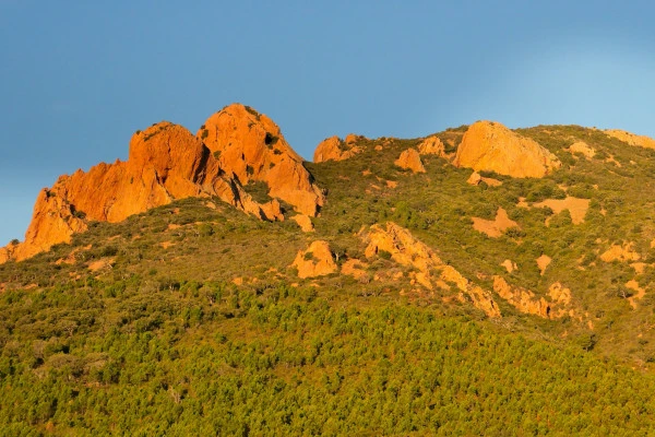 Randonnée - Esterel - sur les traces de St Honorat - Expérience Côte d'Azur