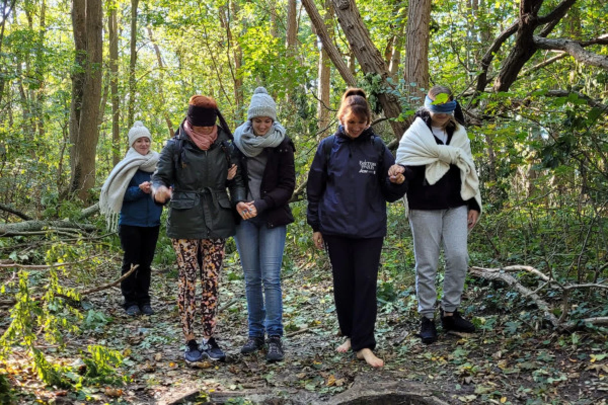 S'apaiser en se reliant à la Nature - BAIN DE FORET - Expérience Côte d'Azur