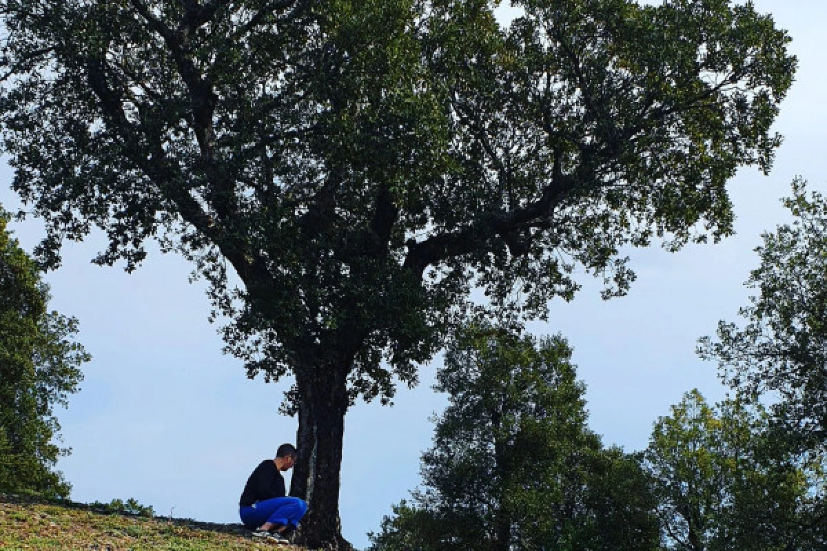 S'apaiser en se reliant à la Nature - BAIN DE FORET - Expérience Côte d'Azur