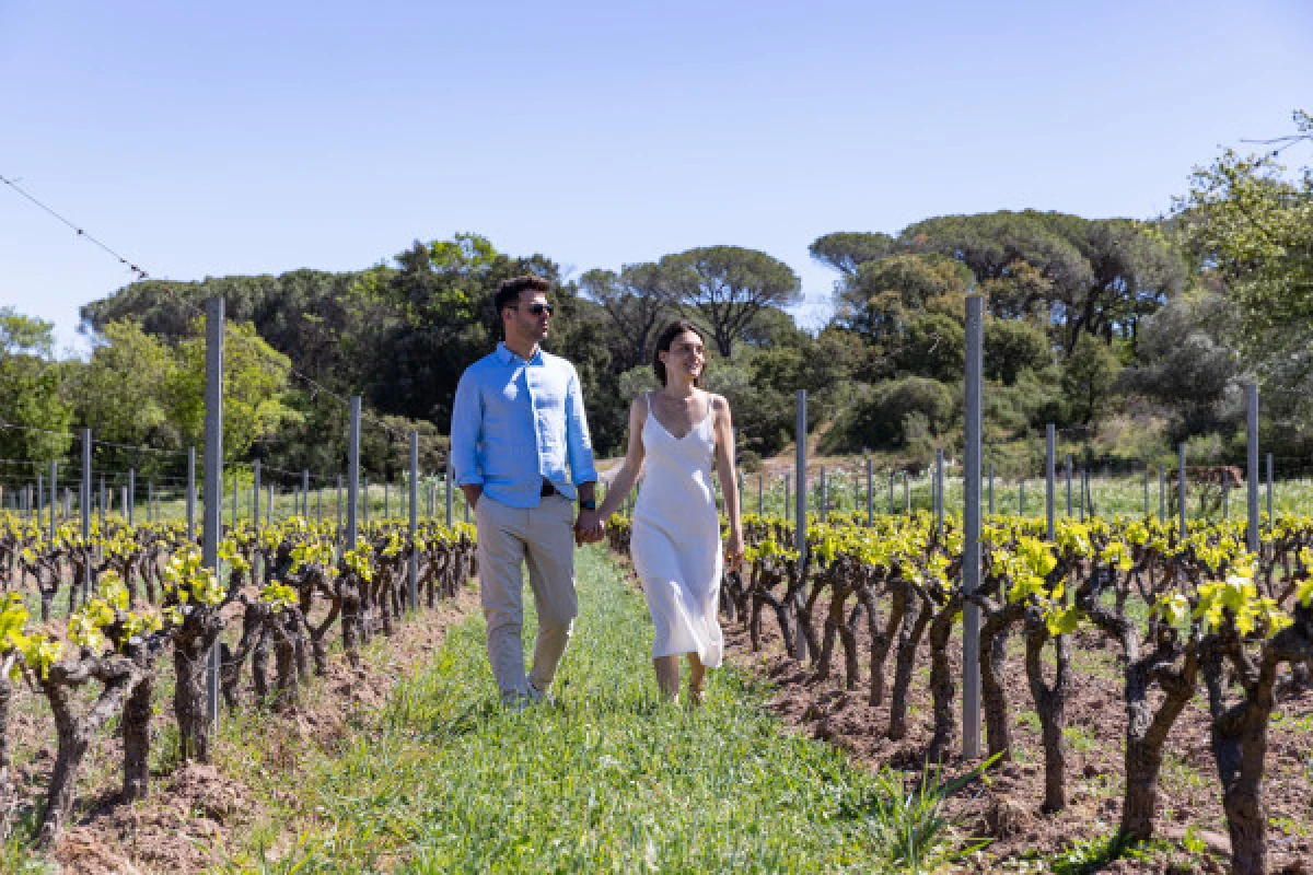 Séjour Pause romantique au cœur d'un vignoble de charme - Fréjus - Expérience Côte d'Azur