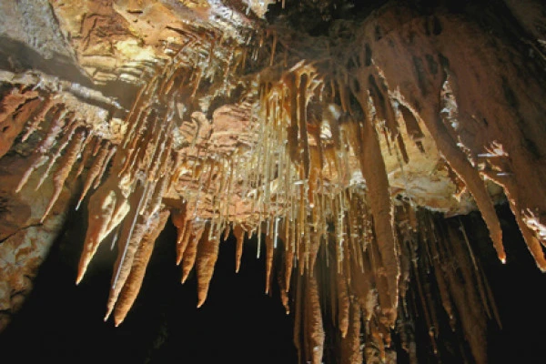 Grotte de la baume obscure - visite son et lumières - Expérience Côte d'Azur