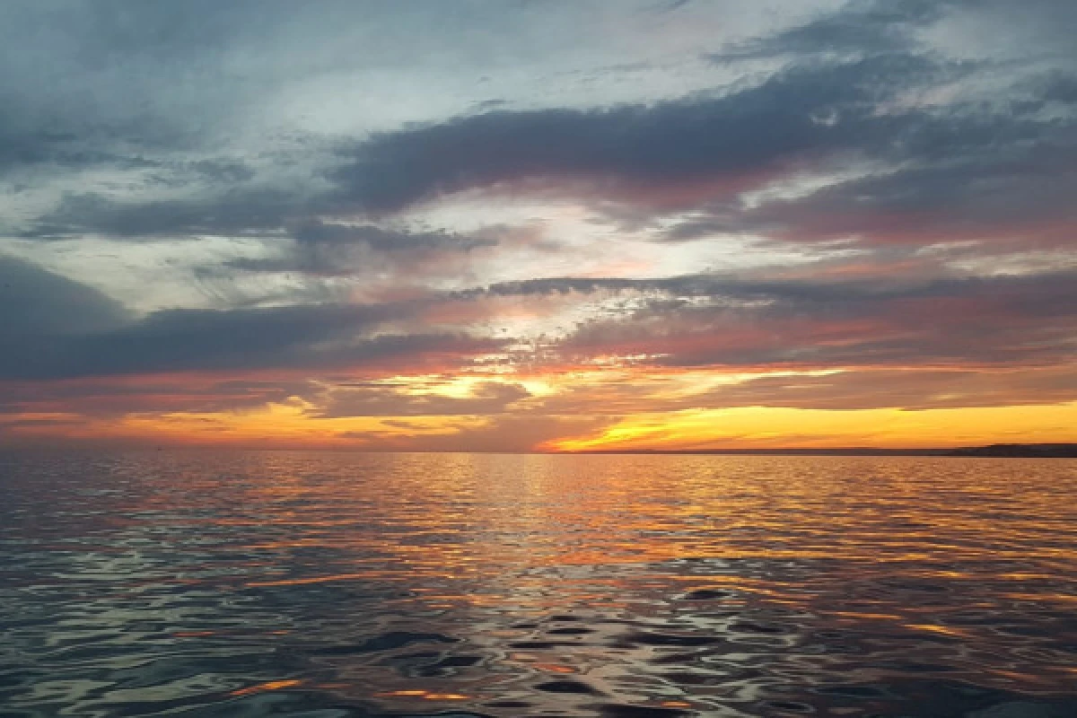 Soirée coucher du soleil en voilier dans les Calanques du Frioul - Vieux Port Mairie - Expérience Côte d'Azur