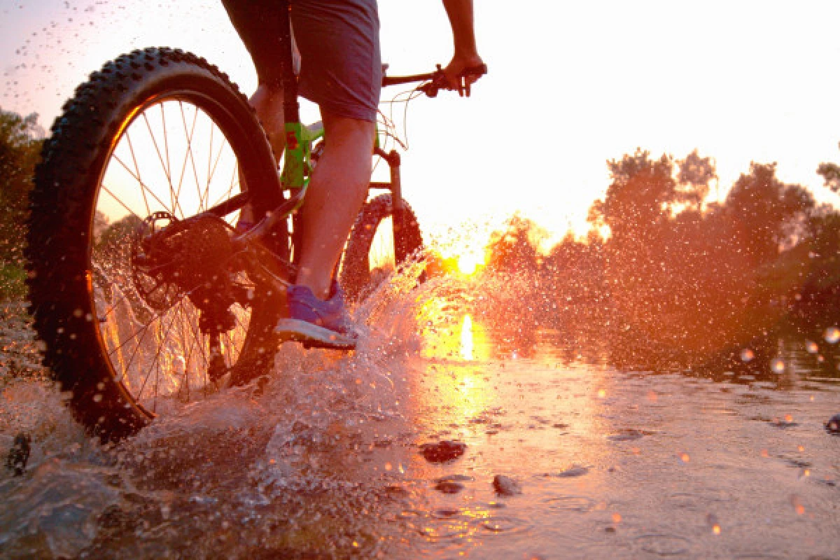 Sortie accompagnée en VTT VAE - Expérience Côte d'Azur