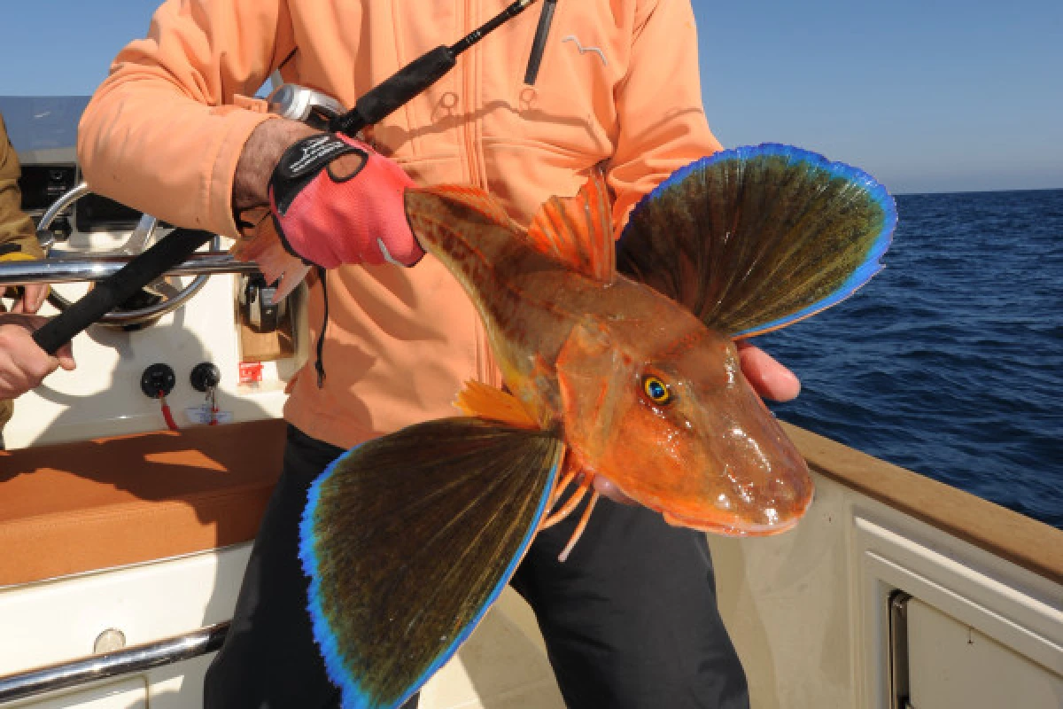 Sortie en mer- pêche côtière à Fréjus - Expérience Côte d'Azur