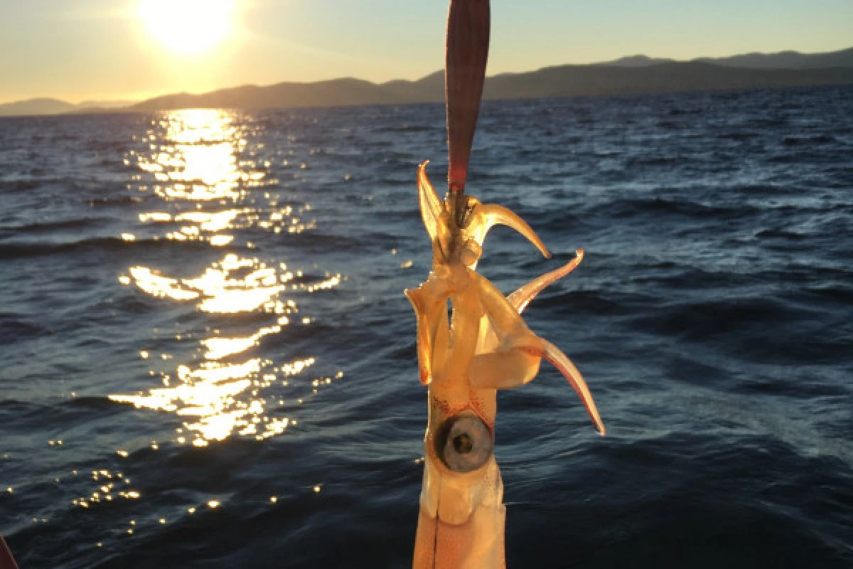 Sortie en mer- pêche côtière à Fréjus - Expérience Côte d'Azur