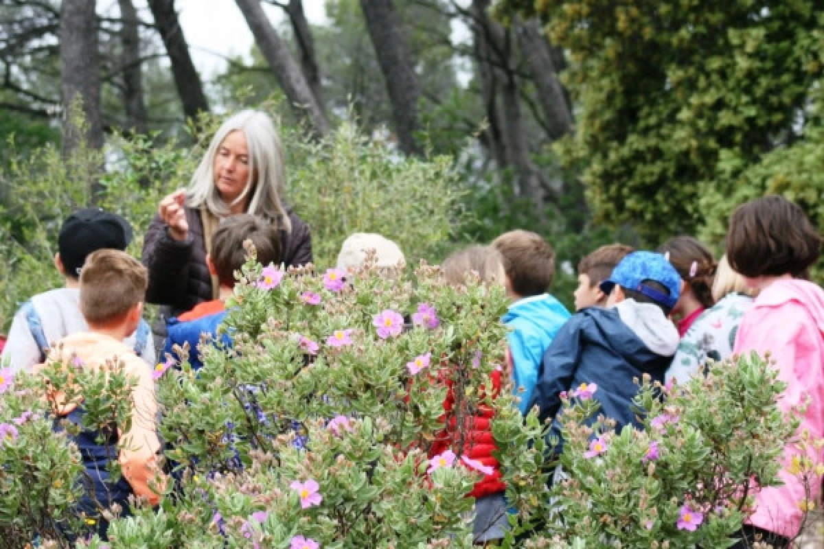 Sortie scolaire nature : Allons herboriser ! - Expérience Côte d'Azur