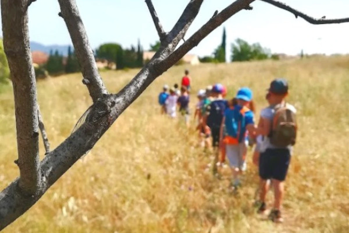 Sortie scolaire nature : Attrap'insectes ! - Expérience Côte d'Azur