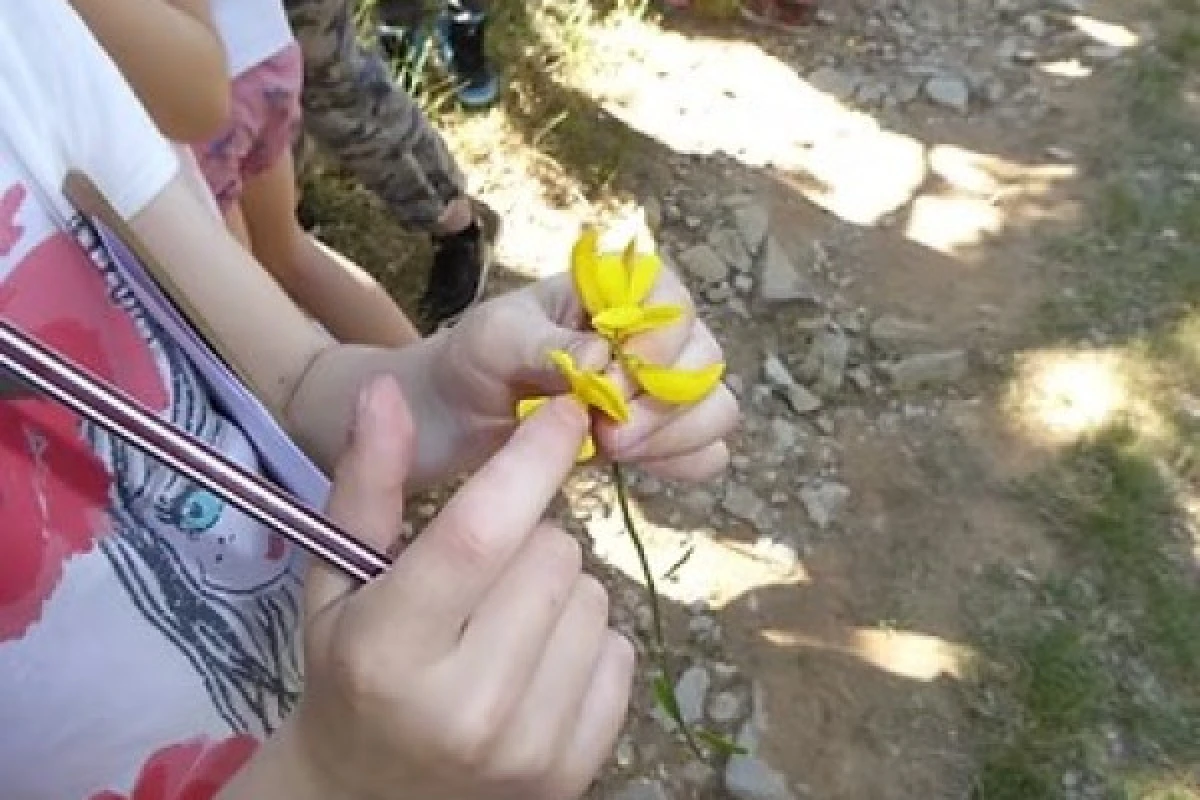 Sortie scolaire nature : Histoire de fleurs ! - Expérience Côte d'Azur