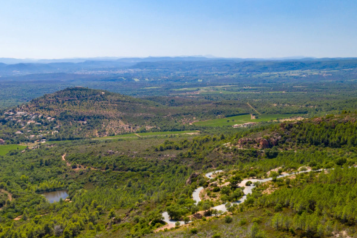 Sortie scolaire nature : la Préhistoire à travers les traces - Expérience Côte d'Azur