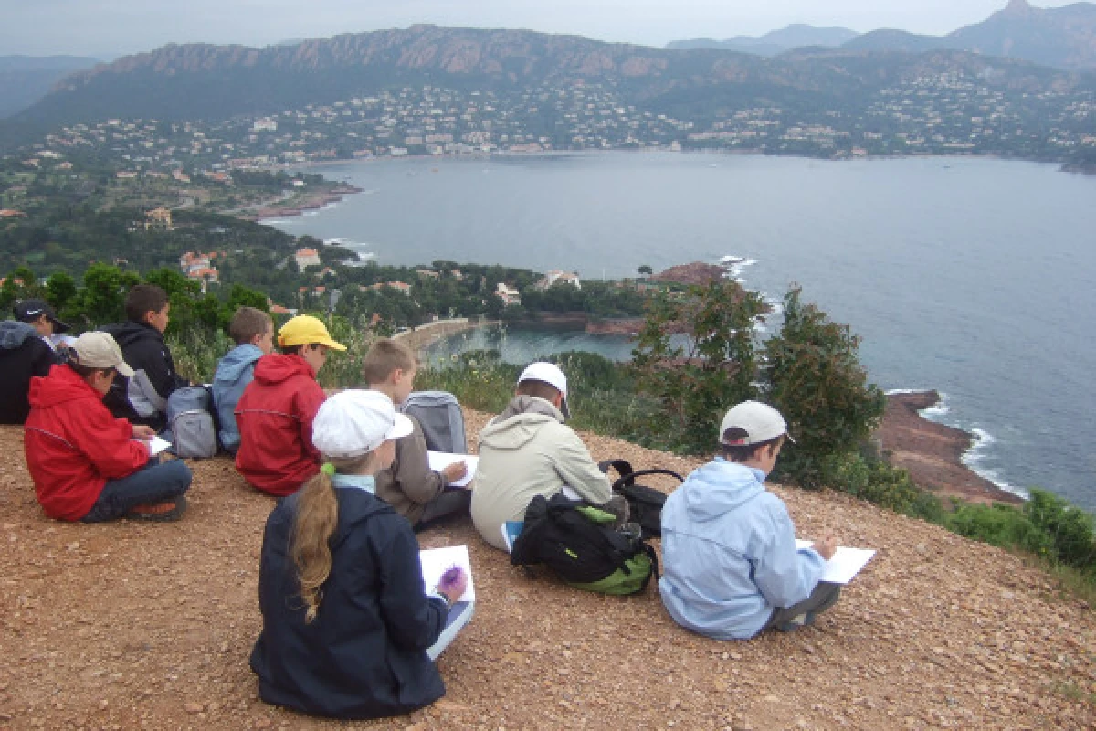 Sortie scolaire nature : Lecture de paysages ! - Expérience Côte d'Azur