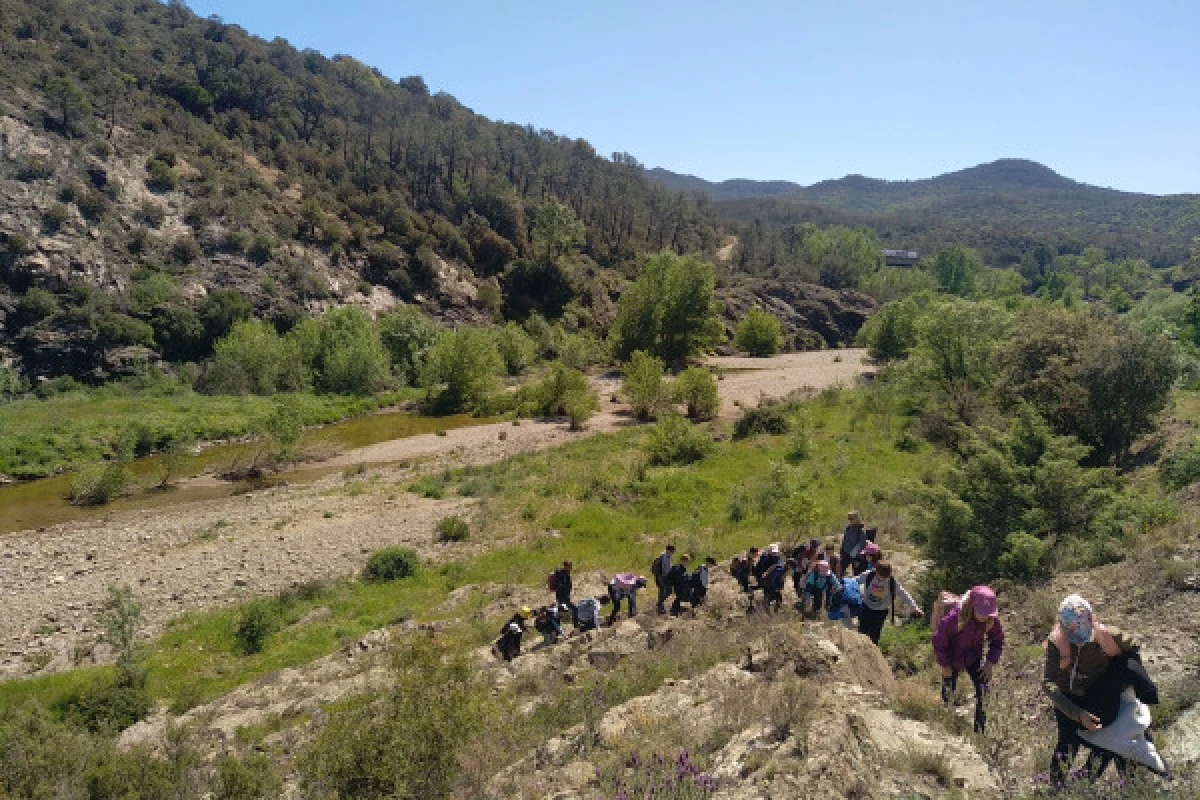 Sortie scolaire nature : Lecture de paysages ! - Expérience Côte d'Azur