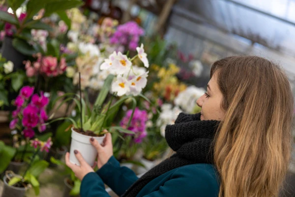 Stage autour des plantes - Orchidées - Expérience Côte d'Azur