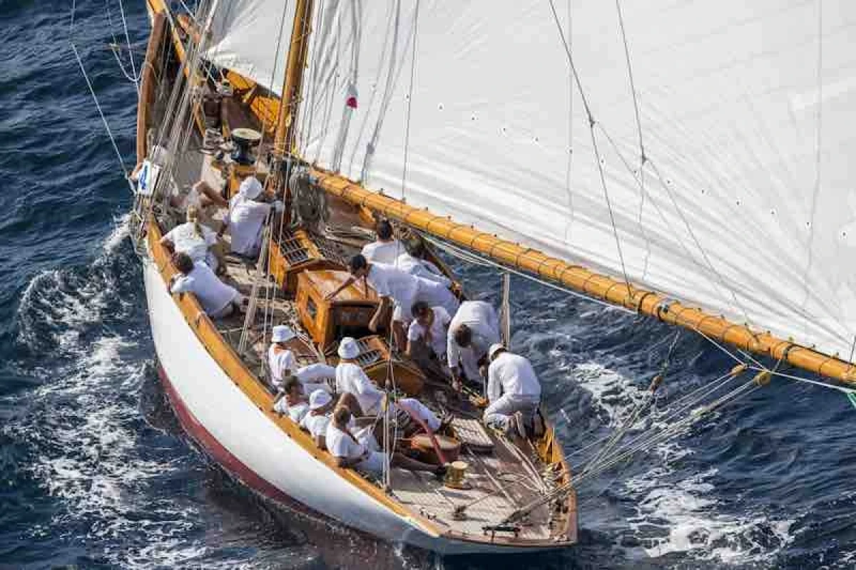 Suivi des voiles de Saint Tropez - Expérience Côte d'Azur