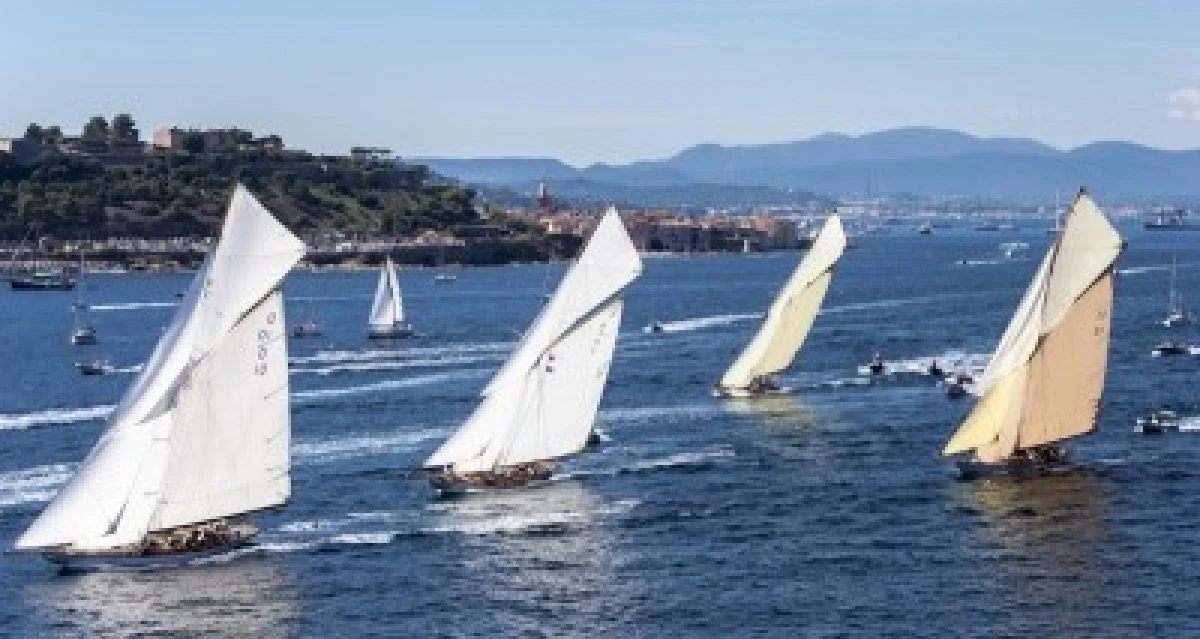 Suivi des voiles de Saint Tropez - Expérience Côte d'Azur