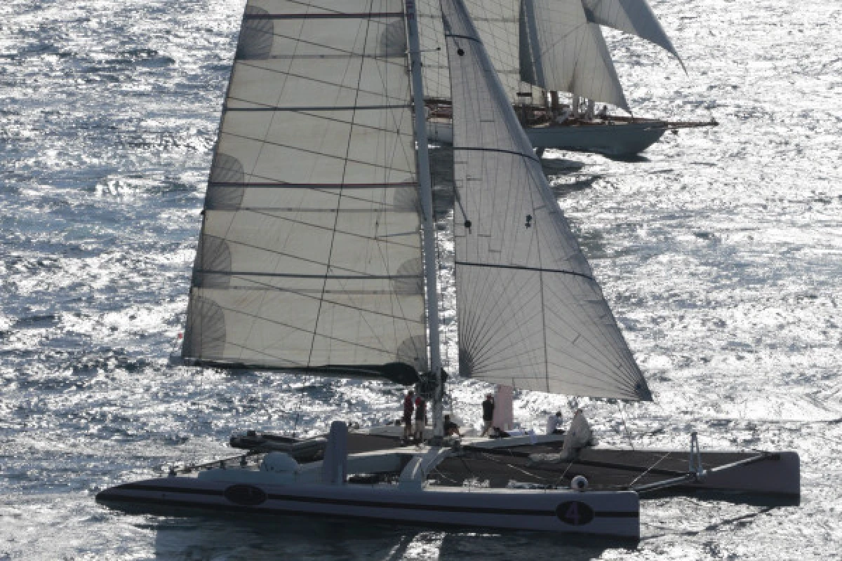 Suivre la Régate des voiles de St Tropez en Catamaran - Expérience Côte d'Azur