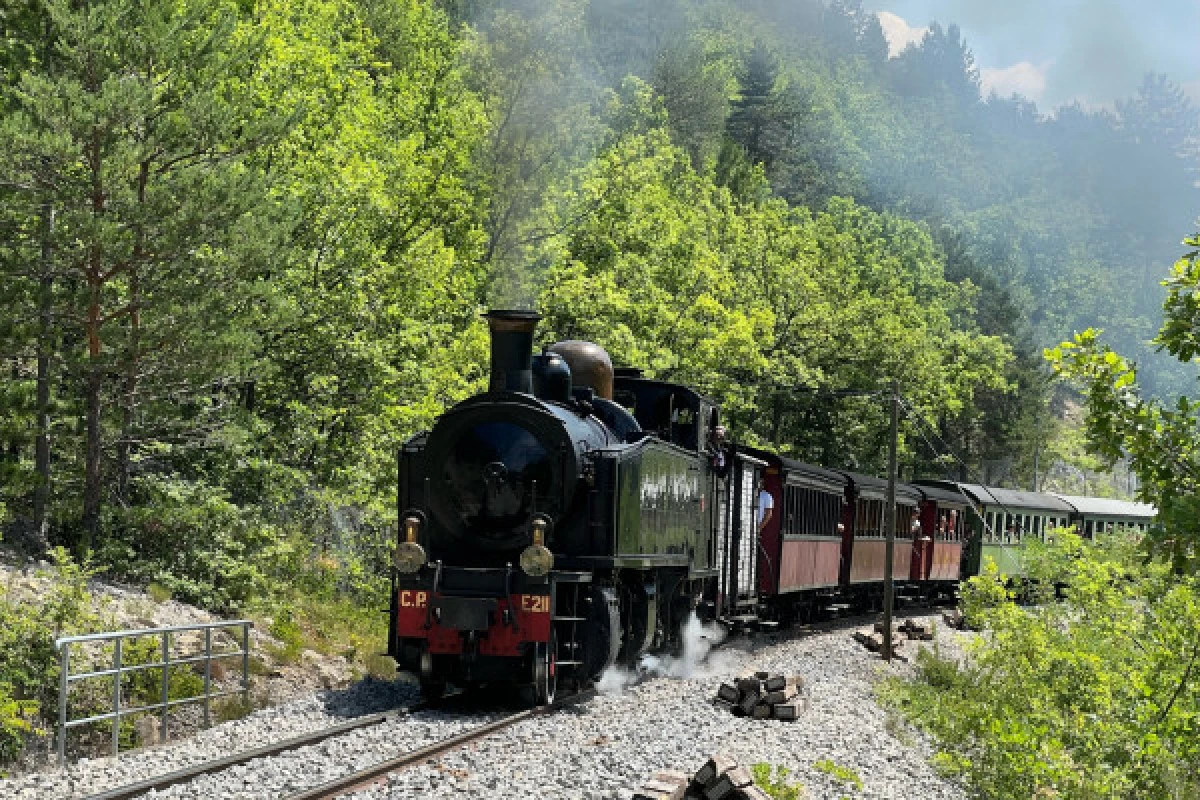 Train des Pignes  -  Excursion en autocar - Expérience Côte d'Azur