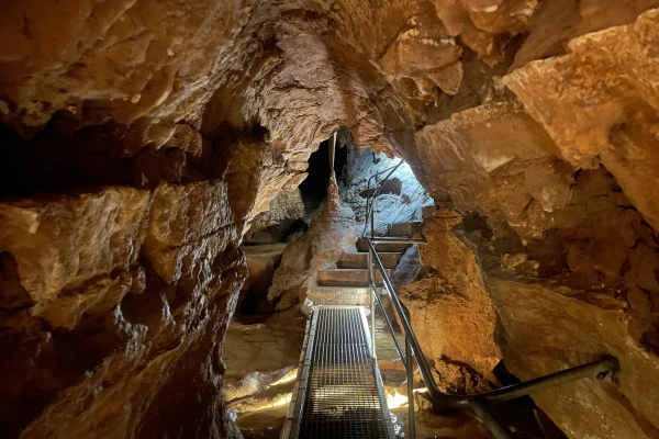 Grotte de la baume Obscure - visite audioguidée - Expérience Côte d'Azur