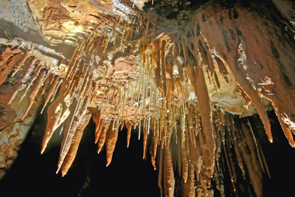 Grotte de la baume Obscure - visite audioguidée - Expérience Côte d'Azur