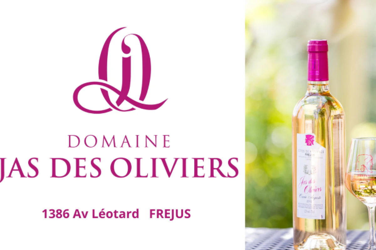 Visite guidée du domaine - Jas des Oliviers - Expérience Côte d'Azur