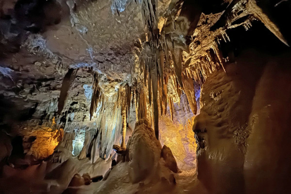 Grotte de la baume obscure - visite son et lumières - Expérience Côte d'Azur