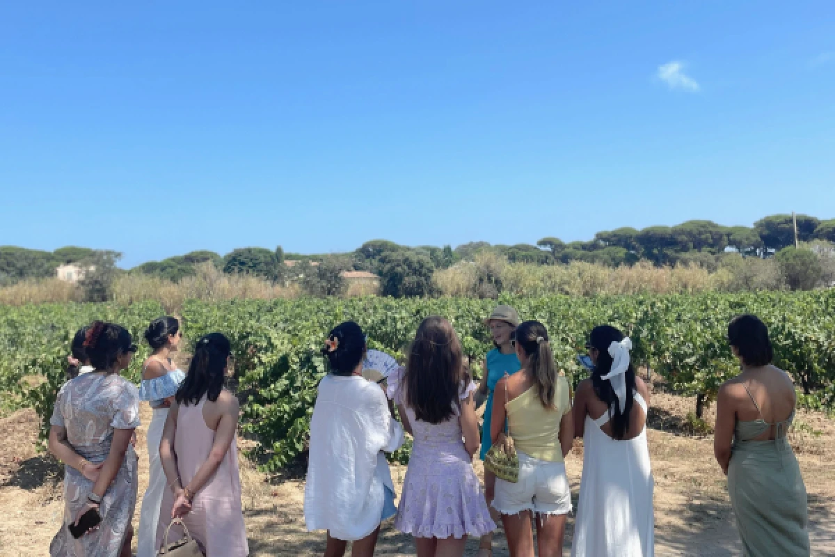 Votre EVJF/EVG dans les vignobles du Golfe de St-Tropez - Expérience Côte d'Azur